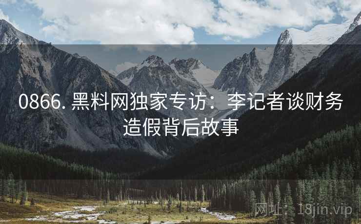 0866. 黑料网独家专访：李记者谈财务造假背后故事